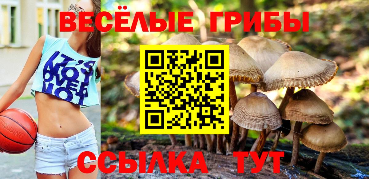 Галлюциногенные грибы мицелий Нефтекумск